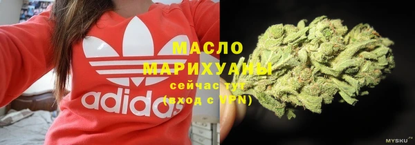 МДПВ Ельня