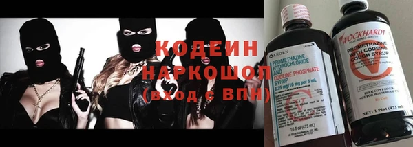 МДПВ Ельня