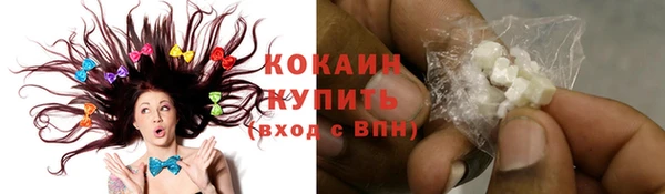 МДПВ Ельня