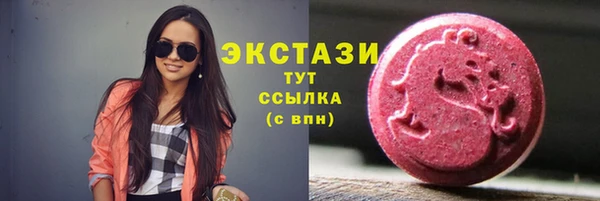 МДПВ Ельня
