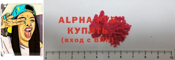 МДПВ Ельня