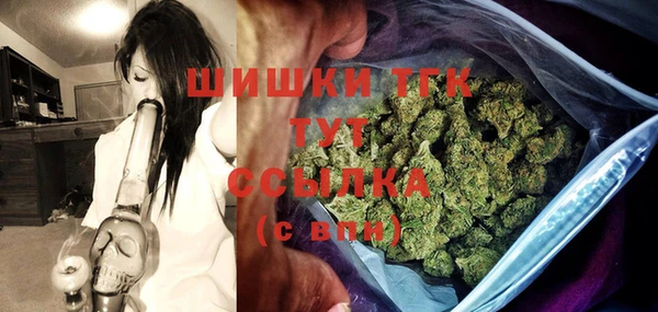 МДПВ Ельня