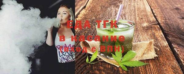 МДПВ Ельня