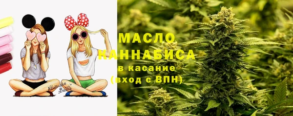 МДПВ Ельня