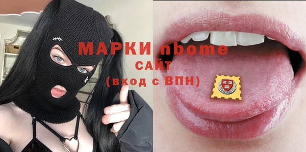 МДПВ Ельня