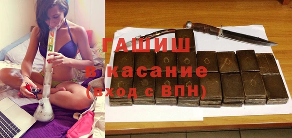 МДПВ Ельня