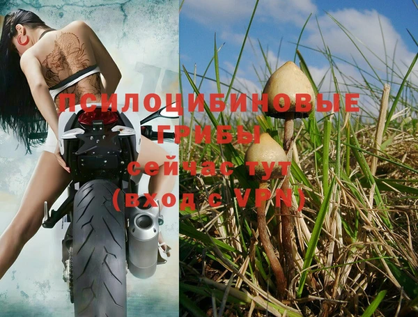 МДПВ Ельня