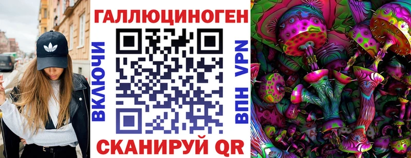 Галлюциногенные грибы Magic Shrooms  Купить  Чернушка 